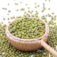 艾谷 新疆绿豆500g*2袋