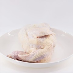 新疆特产 尼雅黑鸡 整只老母鸡1.5kg/只