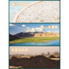 羊脂籽米 2022年新米胚芽米新疆香米珍珠米长粒粥米大米4斤礼盒装
