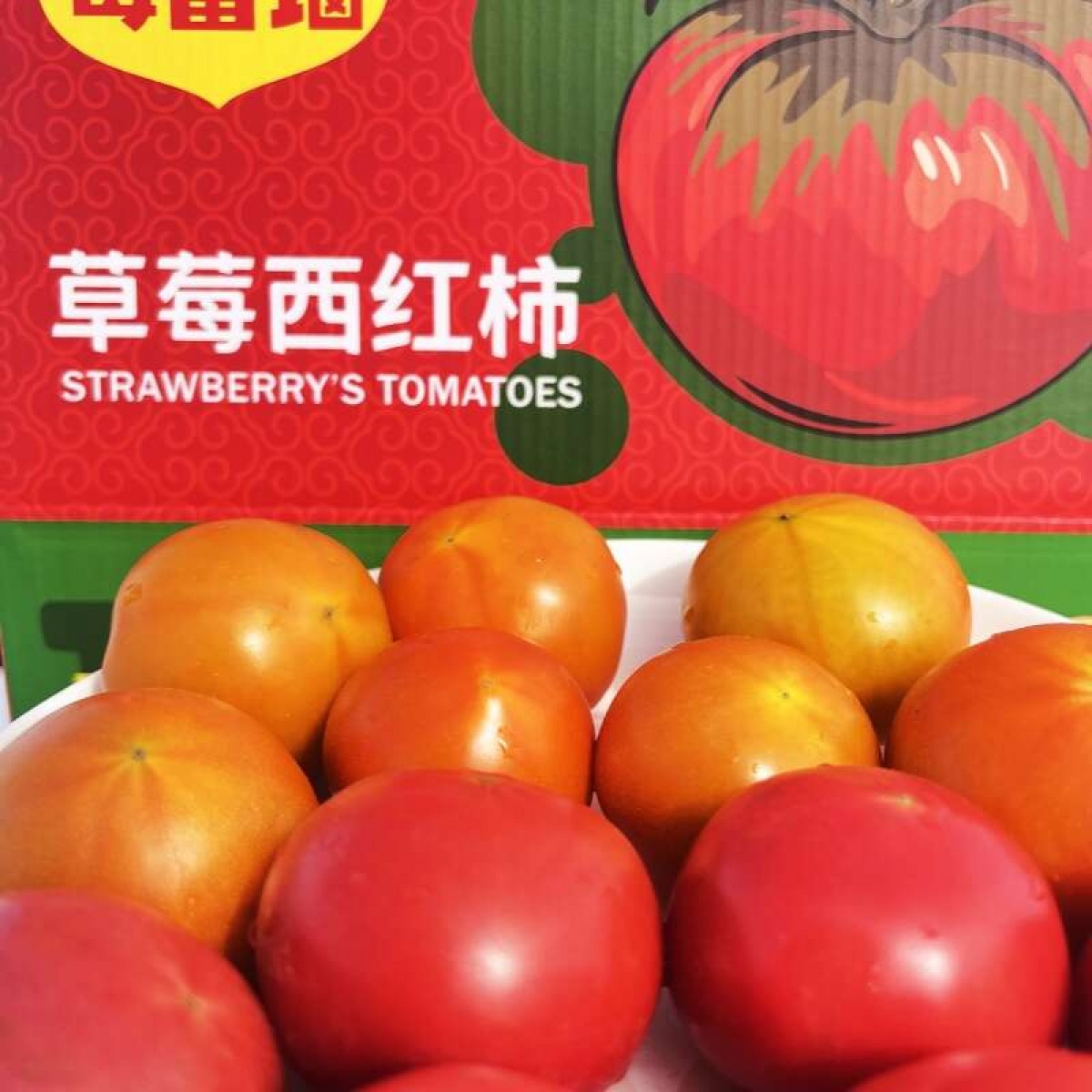 新疆吐鲁番草莓西红柿双拼 一款能当水果吃的西红柿 黄色/红色家庭装5斤