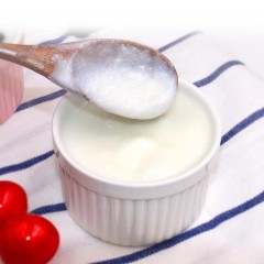 新疆脱脂酸奶0脂肪无糖大桶0蔗糖减脂健身代餐原味纯酸奶