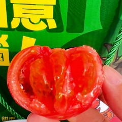 新疆吐鲁番草莓西红柿双拼 一款能当水果吃的西红柿 黄色/红色家庭装5斤