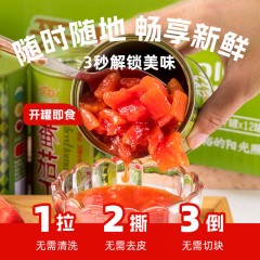 【2023年8-9月生产】新疆冠农番茄丁 零添加 新鲜去皮西红柿400g*3罐