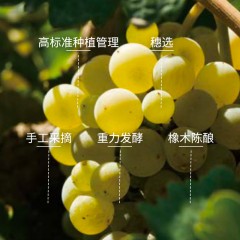唐庭霞露朝露水晶甜白葡萄酒