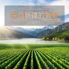 唐庭霞露朝露水晶甜白葡萄酒