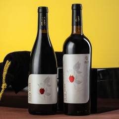 唐古莱树莓酒红酒果酒新疆微醺少女酒女士低度甜酒晚安酒水果酒