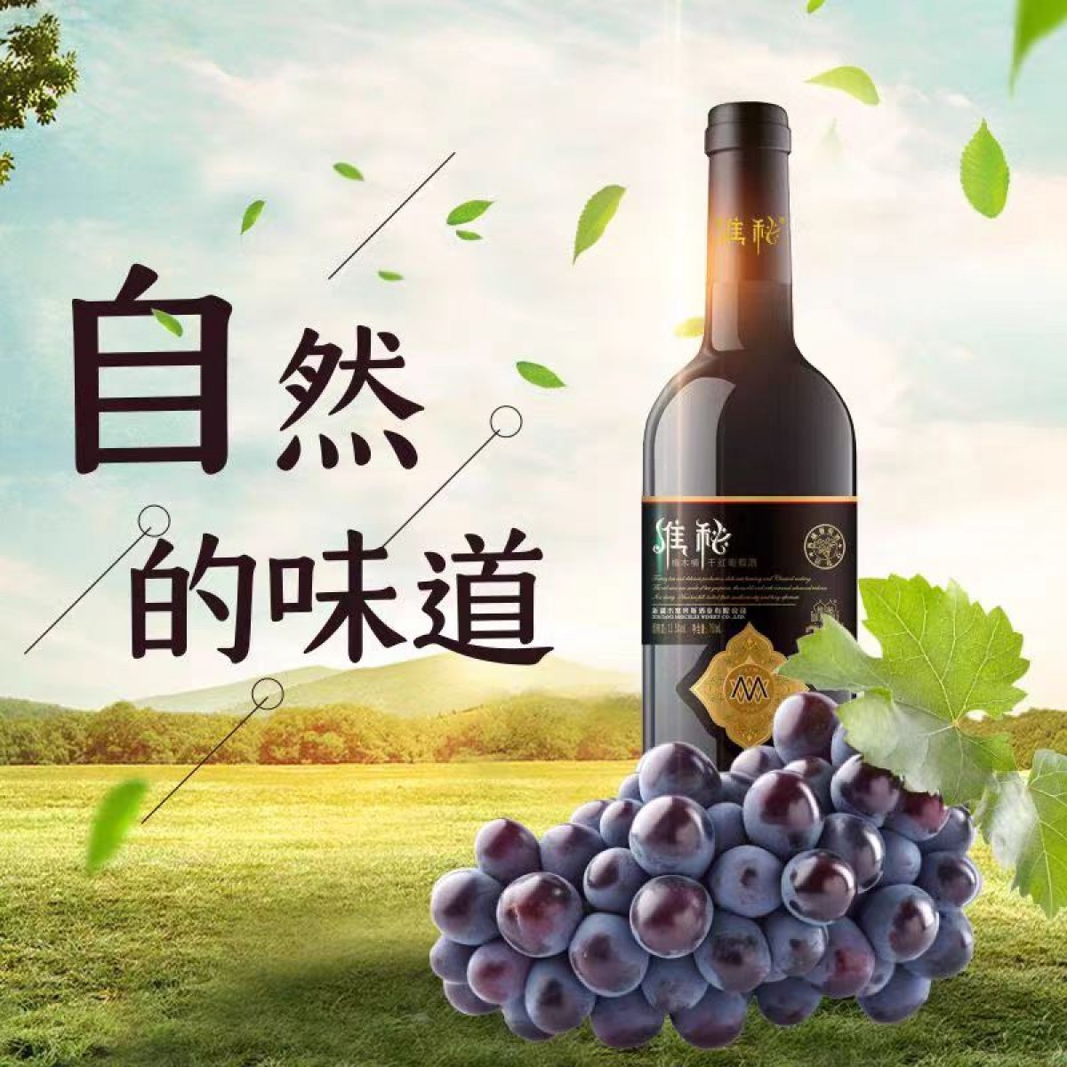 维秘橡木桶干红葡萄酒 源自新疆 纯果发酵 新疆礼物特产750ml/瓶