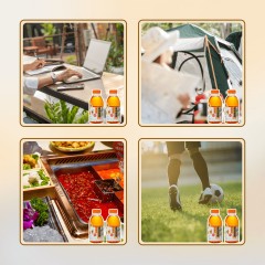 冰雪棘新疆昆仑雪菊沙棘茶450ml*6瓶原叶冷萃茶0糖0脂降茶无糖茶