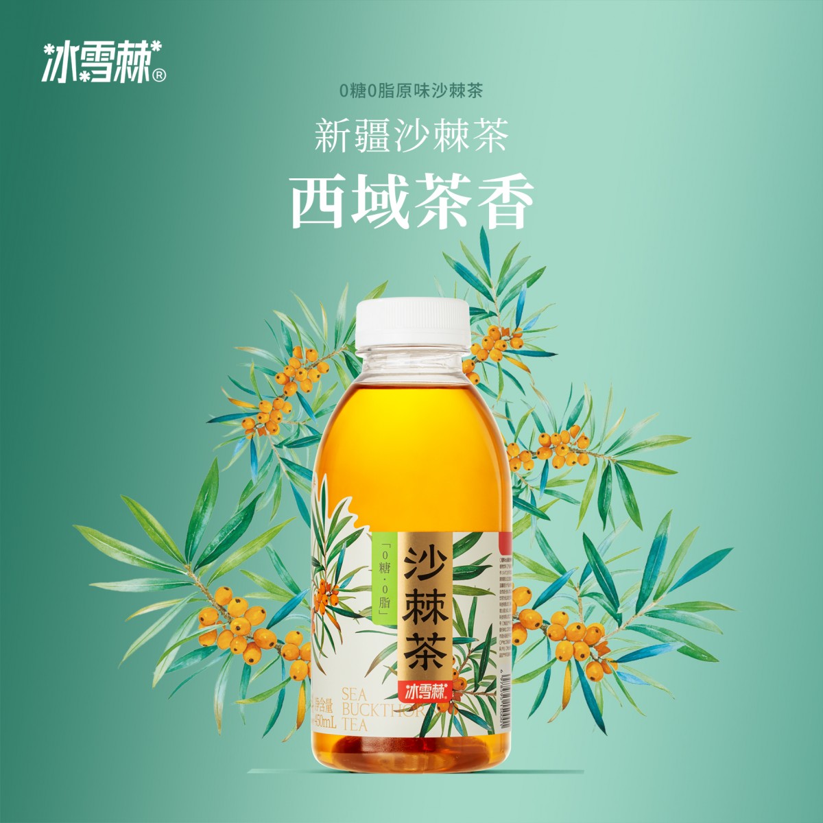 冰雪棘新疆原味沙棘茶450ml*6瓶原叶冷萃茶0糖0脂降茶无糖茶