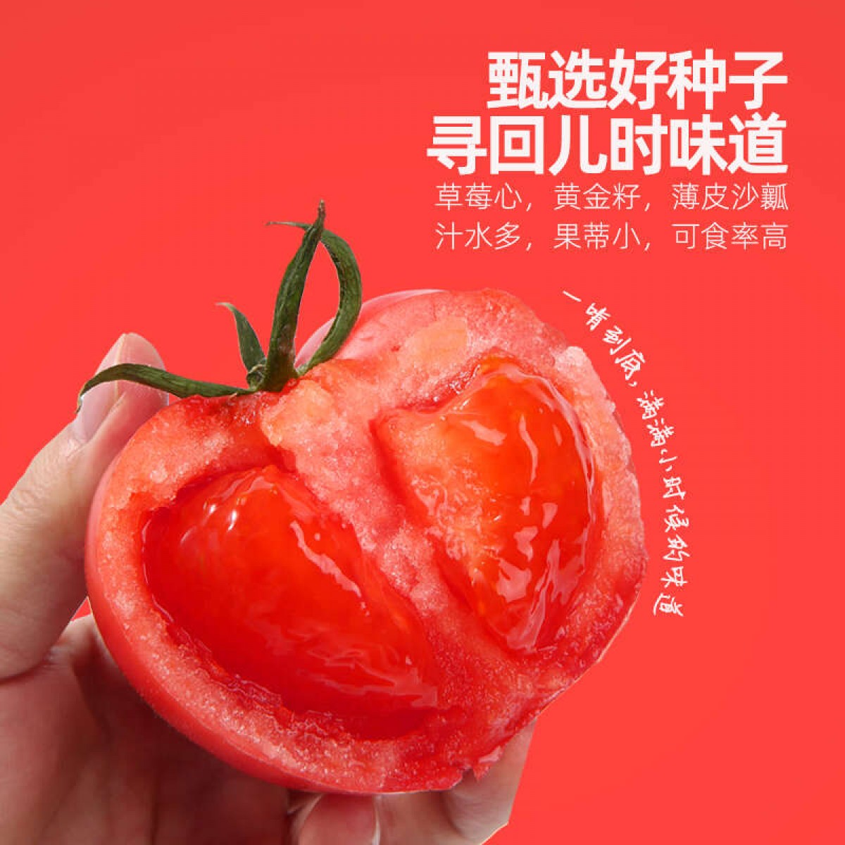 普罗旺斯西红柿 新鲜水果 甜美多汁 4.5-5斤