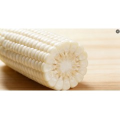 馋小棒鲜食玉米白糯玉米黄糯玉米现摘现发独立包装真空锁鲜居家必备