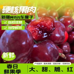 新疆阿克苏车厘子 大樱桃 应季水果【18号发货】预售
