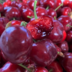 新疆阿克苏车厘子 大樱桃 应季水果【18号发货】预售