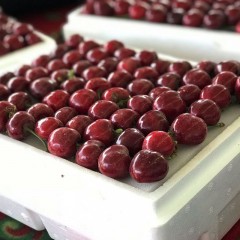 新疆阿克苏车厘子 大樱桃 应季水果【18号发货】预售