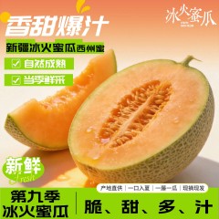 新疆吐鲁番 冰火蜜瓜 西州蜜 哈密瓜 脆甜多汁25号发货【预售】