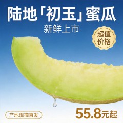 新疆吐鲁番初玉蜜瓜 黄金网纹翡翠肉 当季现摘 一藤一瓜 脆甜哈密瓜