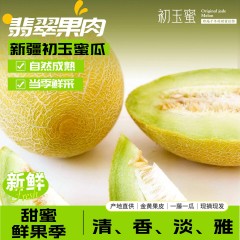 新疆吐鲁番初玉蜜瓜 黄金网纹翡翠肉 当季现摘 一藤一瓜 脆甜哈密瓜