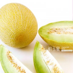 新疆吐鲁番初玉蜜瓜 黄金网纹翡翠肉 当季现摘 一藤一瓜 脆甜哈密瓜