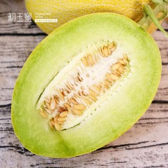 新疆吐鲁番初玉蜜瓜 黄金网纹翡翠肉 当季现摘 一藤一瓜 脆甜哈密瓜