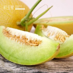 新疆吐鲁番初玉蜜瓜 黄金网纹翡翠肉 当季现摘 一藤一瓜 脆甜哈密瓜