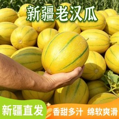 新疆老汉瓜 软糯香甜 当季新鲜水果 新疆直发3-4斤