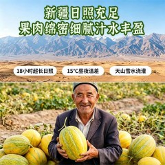 新疆老汉瓜 软糯香甜 当季新鲜水果 新疆直发3-4斤