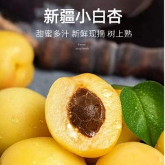 【产地直发顺丰空运】正宗新疆头茬库车轮台小白杏现摘现发水果最后一个月破价发货
