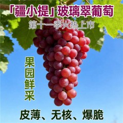 疆小提玻璃翠葡萄 无籽连皮吃脆甜多汁 新鲜水果 新疆基地鲜采 2026新果