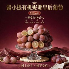 疆小提 新疆有机妮娜皇后葡萄 树上自然成熟 有机种植 红酒玫瑰香 无核脆甜3斤±100g（2-3串）