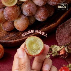疆小提 新疆有机妮娜皇后葡萄 树上自然成熟 有机种植 红酒玫瑰香 无核脆甜3斤±100g（2-3串）