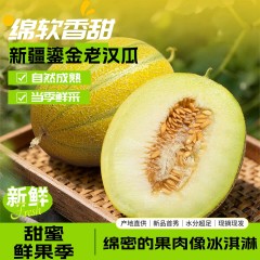 新疆鎏金老汉瓜 入口即化冰淇淋口感 戈壁滩特色蜜瓜 软糯爆汁 限定尝鲜