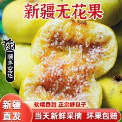 【新疆直发顺丰空运】新疆阿图什特大鲜果无花果现摘现发软糯香甜
