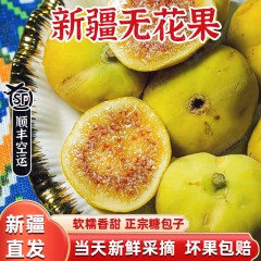 【新疆直发顺丰空运】新疆阿图什特大鲜果无花果现摘现发软糯香甜