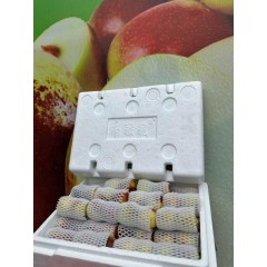 南疆脆新疆冬枣阿拉尔脆枣特级2斤装