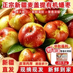新疆麦盖提沙漠蟠枣应季大枣 精选大果礼盒1.8kg中秋限时购两件送雪莲红枣粉