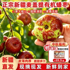 新疆麦盖提沙漠蟠枣应季大枣 精选大果礼盒1.8kg中秋限时购两件送雪莲红枣粉