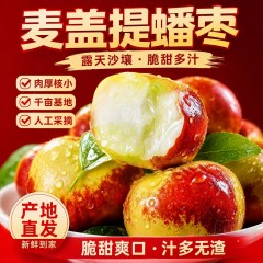 新疆麦盖提沙漠蟠枣应季大枣 精选大果礼盒1.8kg中秋限时购两件送雪莲红枣粉