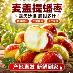 新疆麦盖提沙漠蟠枣应季大枣 精选大果礼盒1.8kg中秋限时购两件送雪莲红枣粉