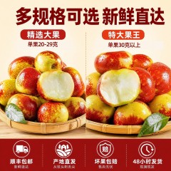 新疆麦盖提沙漠蟠枣应季大枣 精选大果礼盒1.8kg中秋限时购两件送雪莲红枣粉