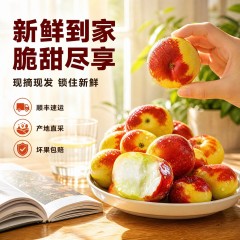 新疆麦盖提沙漠蟠枣应季大枣 精选大果礼盒1.8kg中秋限时购两件送雪莲红枣粉