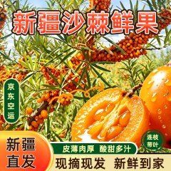 【产地直发JD空运】正宗新疆头茬170团大果沙棘鲜果3斤装