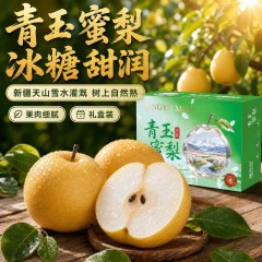 新疆 冰糖秋月梨树上自然熟梨子皮薄肉细 当季鲜果5斤装