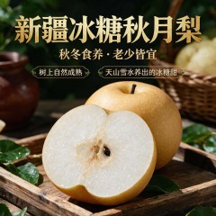 新疆 冰糖秋月梨树上自然熟梨子皮薄肉细 当季鲜果5斤装