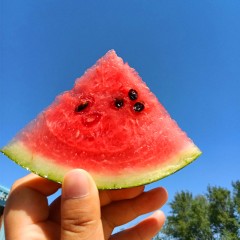 新疆吐鲁番大西瓜 一个装 时令生鲜 夏日解渴应季水果6~9斤