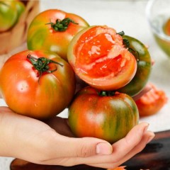 新疆吐鲁番草莓西红柿 一款能当水果吃的西红柿 家庭装5斤