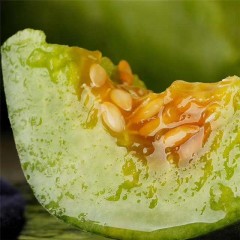 新疆羊角蜜博洋蜜瓜 应季水果5-5.5斤/箱