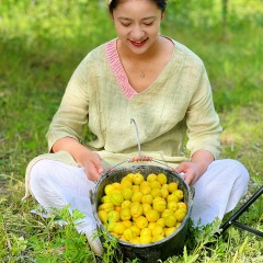 【轮台直发】疆无季一杏知新疆小白杏长在树上的白色蜂蜜甜美多汁尝鲜装1.6斤