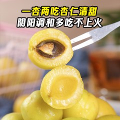 【产地直发顺丰空运】正宗新疆小白杏自然熟现摘现发爆甜多汁