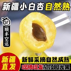 【产地直发顺丰空运】正宗新疆小白杏自然熟现摘现发爆甜多汁