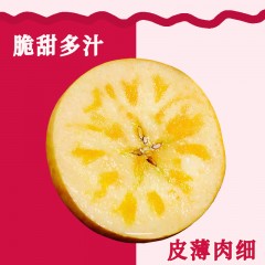 新疆阿克苏冰糖心苹果4.5公斤净重